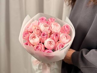 Heidi vs ranunculus lady pink