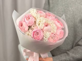 Lady Pink vs Eustoma White