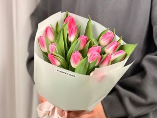 Tulip Pink