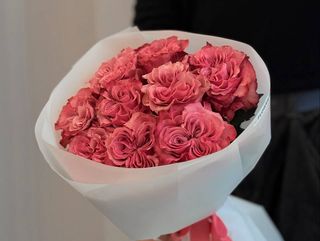 Róża Country blues 50 cm