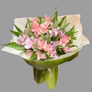 Bukiet kolorowej astromerii