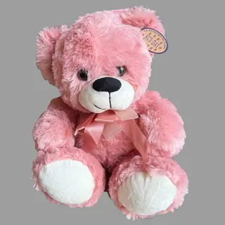 Teddy bear 