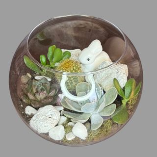 Kompozycja w szkle 4