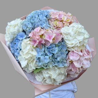 9 kolorowych hortensji