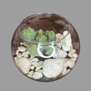 Kompozycja w szkle 1