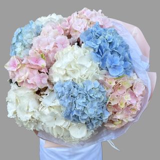 11 kolorowych hortensji