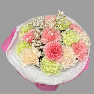 Bukiet kolorowych goździków