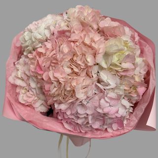 Bukiet hortensji Różowa chmurka