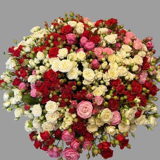 Bukiet 51 Róża gałązkowa