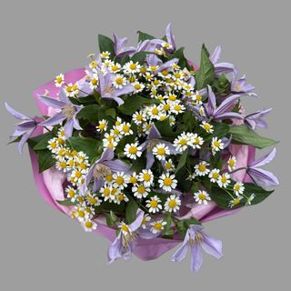 Bukiet polny z clematisa i rumianku