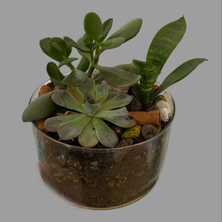 Kompozycja w szkle 5