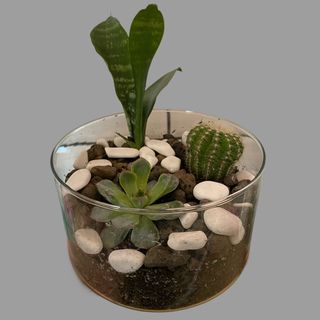 Kompozycja w szkle 6