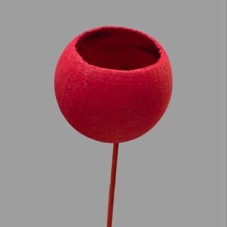 Gałązka dekoracyjna czerwona