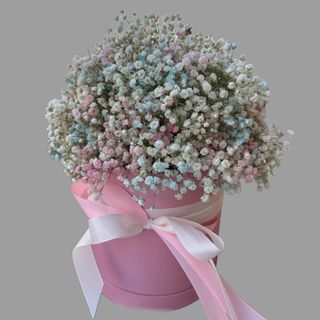 Pudełko różowo-błękitnej gipsówki