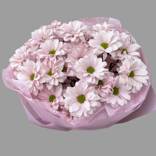 Bukiet fioletowych margaretek