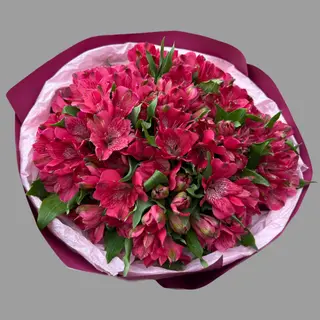 Bukiet Red Alstromeria 