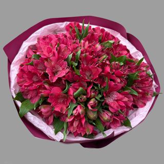 Bukiet Red Alstromeria