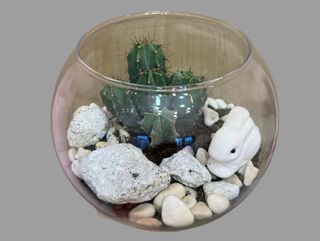 Kaktusy z królikiem