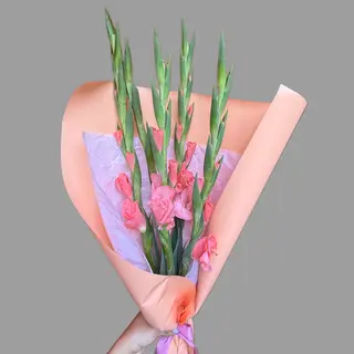 Bukiet 5 gladioli 