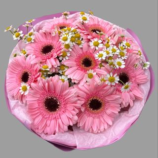 Bukiet gerber z rumiankiem