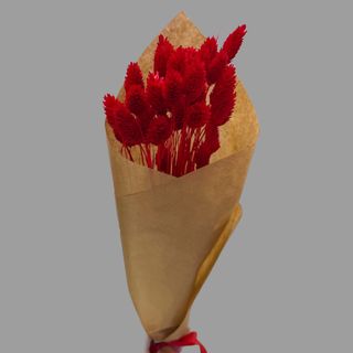 Bukiecik świątecznych suszek (0030)