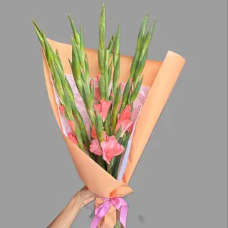 Bukiet 9 gladioli 