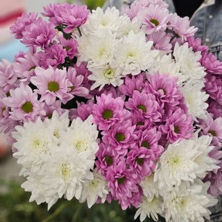 Bukiet z margaretek S