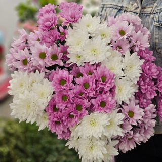 Bukiet z maragaretek M