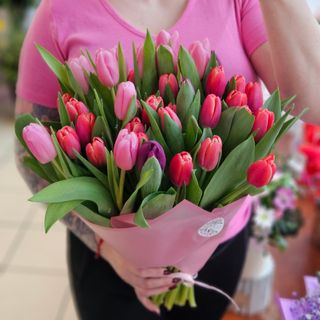 11 tulipanów w papierofolii