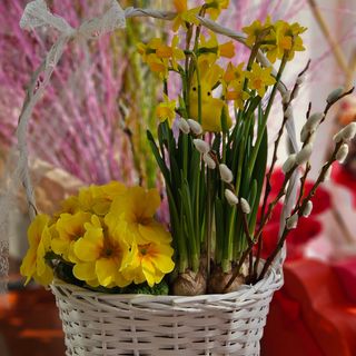 Wielkanocny koszyczek