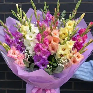 Bukiet z kolorowych gladioli-mieczyków