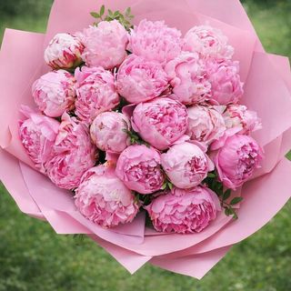 9 piwonii w papierofolii