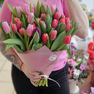 25 tulipanów w papierofolii