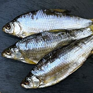 Wobla (Płoć) Suszona 70-80 gr