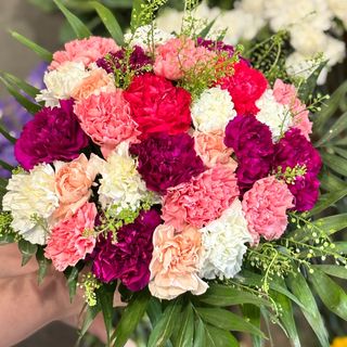 Bukiet kolorowych goździków