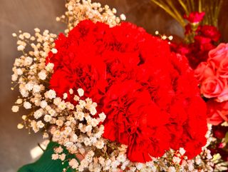 Bukiet czerwonych goździków z gipsówką