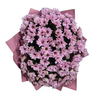 chryzantemowy bukiet XL