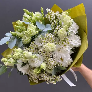 1223 Eustoma delikatna