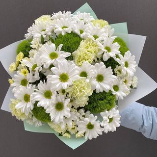 1069 Zielona świeżość