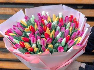 Mały bukiet tulipanów COLOR