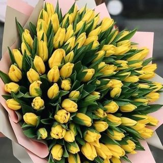 Bukiet żółtych tulipanów
