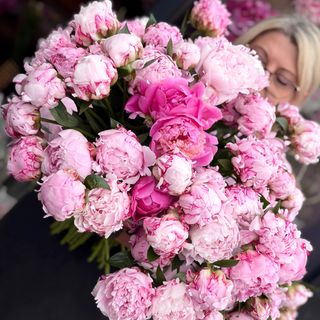 PIWONIE (PEONIE)