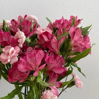 Alstromeria bukiet