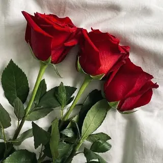 Kompozycja Red Kiss