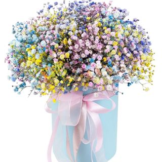 Flowerbox chmurka kolorów