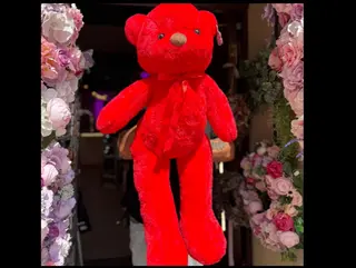 Mis romantic czerwony duży
