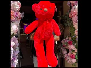 Mis romantic czerwony duży