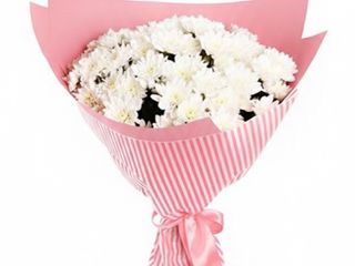 Bukiet margaretek , rozmiar średni