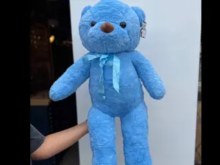 Miś pluszowy blue
