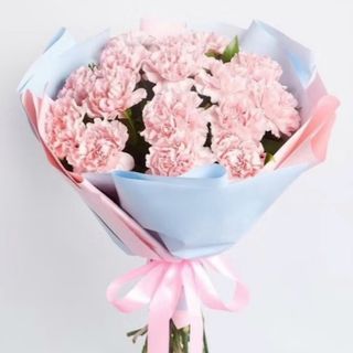 Bukiet różowych goździków